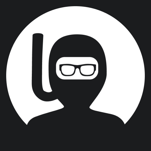 WEB development course